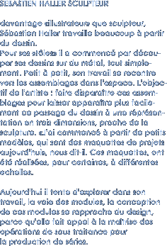 sebastien haller plasticien sculpteur